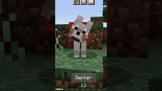 the wolf dance|Minecraft|#shorts #minecraft #wolf