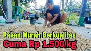 Pakan Entok Murah Berkualitas Cuma Rp 1.500/ kg