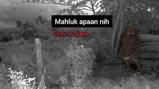 Eksperimen cctv 12 jam ada mahluk hitam samping pohon || cctv horor