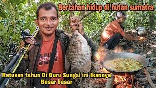 RATUSAN TAHUN DI BURU SUNGAI INI IKAN NYA BESAR BESAR