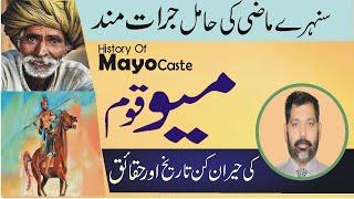 The Meo | Meo caste history | #Meo jati ka itihas | #Mewati | मेयो जाति | Mayo caste | @tareekhia