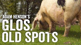 The Champagne Of The Pork World... Here's Why - Adam Henson