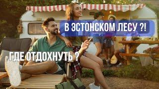 УДОБСТВА ДЛЯ ОТДЫХА В ЭСТОНСКОМ ЛЕСУ #лес #эстония #отдых