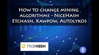 NiceHash - How to change mining algorithms - Etchash, Kawpow, Autolykos - Ethereum Merge