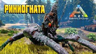 Риниогната - Новое существо в ARK Survival Evolved | Способности и Приручение | Полный Обзор