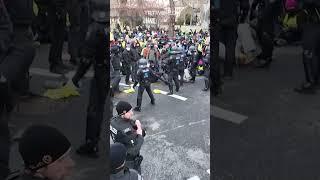 German police officers violently remove protesters near far-right AfD congress