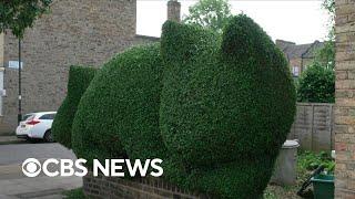 Meet London's hedge art hero