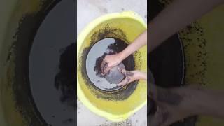 #asmr #charcoal #watercrumbling