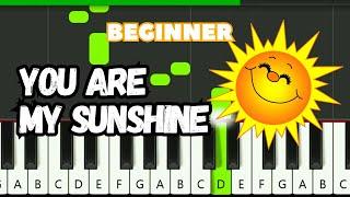 You Are My Sunshine | Easy Beginners Piano Tutorial