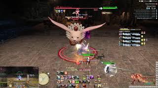 Final Fantasy XIV Online - Level 80 Dungeon - Warrior POV