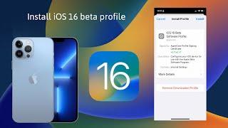 How to Install iOS/iPad OS 16 Beta Profile