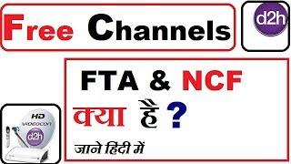 D2h Free Channels | What is FTA and NCF | Details in Hindi