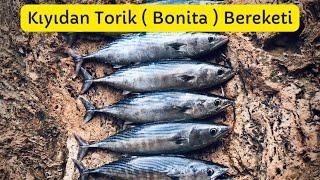 Antalya Falezlerde Torik ( Bonita ) Avı