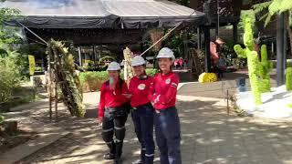 Walk through Medellin’s Spectacular Feria de los Flores Flower Festival