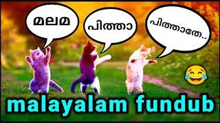 Animal Fundub Part 61  | Malayalam Fundub | ©Ji Talkz | Jijith Elamadu #malayalamfundub #fundub