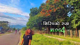 Sirish ko rukh {शिरिशको रुख } Vlog || New Vlog | funny Vlog | Bimu Entertainment | Tiktok viral rukh