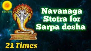 Navanaga Stotra for Sarpa dosha Nagadosha| kalasarpa dosha nivarana mantra.Anantham Vasukim 21 times