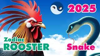 2025 Zodiac Rooster Fortune: Excellent Career, Wealth, Love & Relationships in the Year of the Snake