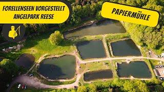 Forellenseen vorgestellt: Angelpark Reese / Papiermühle