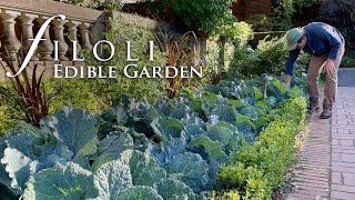 Planting an Edible Garden | Filoli's Fruitful Garden