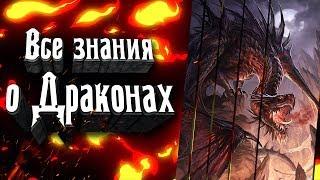 Драконы - кто они? История их появления? Виды драконов и многое другое о них