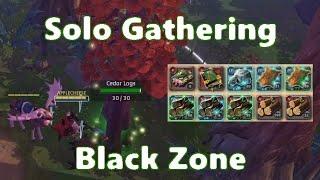 Solo Gathering Black Zone Vol.129 - Albion Online