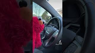 Elmo’s driving test #funny #memes #elmo