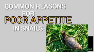 Why snails are not active and the solution