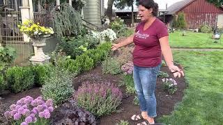 Flowerbed cleanup. Do I prune salvia? Coral bells cleanup, Alstroemeria deadheading
