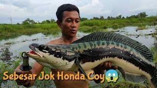 PECAH REKOR BABON TOMAN BARU !!! MANCING DI PINGGIR HUTAN GUNDUL