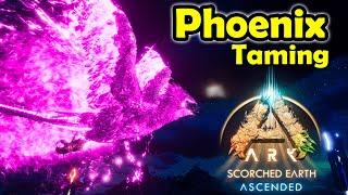 How to tame Phoenix Asa - Highest effectivity Phoenix trap  Ark Survival Ascended Scorched Earth