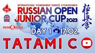 «Russian Open Junior Cup - 2023». ТАТАМИ C  (1 день)