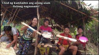 Pagbababad ng nami o karot sa ilog na umaagos+Pangunguha ng ubod ng tapikan tree(Caryota Mitis)