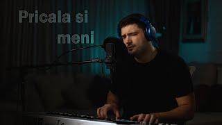 LJUBA PERUCICA - PRICALA SI MENI (COVER)