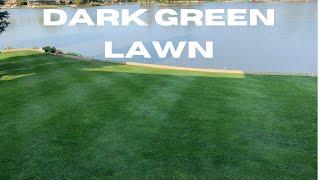 DARK GREEN LAWN in 3 EASY STEPS