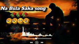 Na bula Saka song | songs | #viralvideo #song #sad #foryou #video #viralvideo #foryou #music