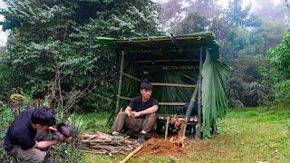 Building a survival shelter in the rainforest, trap wild chickens and cook. Solo Survival Bushcraft.
