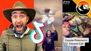 Coyote Peterson Reacts to Your TikToks!