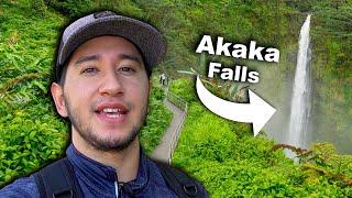 Akaka Falls State Park Walking Tour | Akaka Falls Big Island | Hawaii Waterfalls