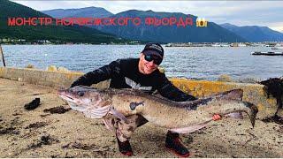 Рыбалка в Норвегии Fishing in Norway Очередной трофей Lange Molva