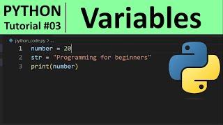 Python Tutorial #3 - Python Variables, Constants and Literals