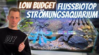 Flussbiotop - STRÖMUNGSAQUARIUM ganz einfach SELBST BAUEN!