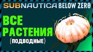 Subnautica Below Zero ВСЕ РАСТЕНИЯ (подводные)
