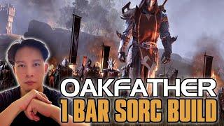 1 Bar PvP Sorcerer Build for Battlegrounds /Elder Scrolls Online/ESO/ 2024