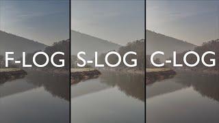 LOG Video Modes DR Comparison (S-LOG2, S-LOG3, C-LOG, F-LOG)