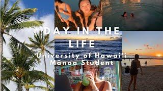 a day in the life at University of Hawai'i (UH Mānoa)