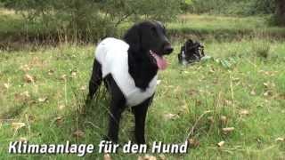 Ruffwear Swamp Cooler Kühlweste | HUND-unterwegs.de