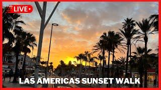 LIVE: Las Americas SUNSET STRIDE- Tenerife Nightlife & Bar Crawl including VERONICAS ️  2024