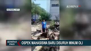 Viral di Medsos, Ini Klarifikasi Pihak Kampus soal Mahasiswa Baru Diminta Minum Oli saat Ospek