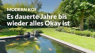 Hier hatte man sich einen fetten Keim eingeschleppt | Modern Koi Blog #7109